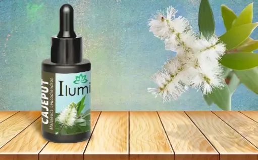 [52159061] Aceite esencial de Cajeput 10 Ml