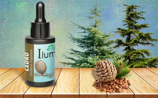 [52159091] Aceite esencial de Cedro 10 Ml