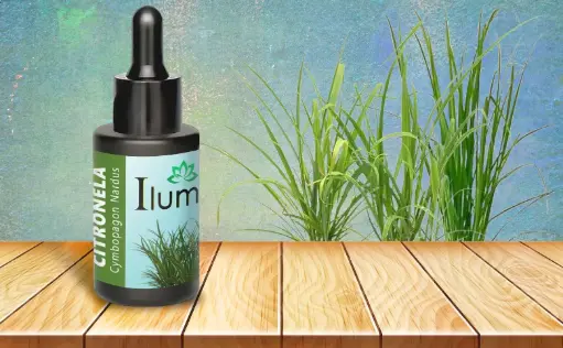 [52159102] Aceite esencial de Citronela 30 ML