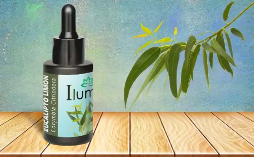 [52159561] Aceite esencial de Eucalipto Limón 10 ml