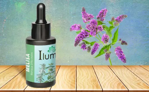 [52159202] Aceite esencial de Melisa 30 ml