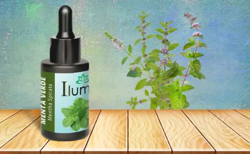 [52159211] Aceite esencial de Menta Verde 10 Ml