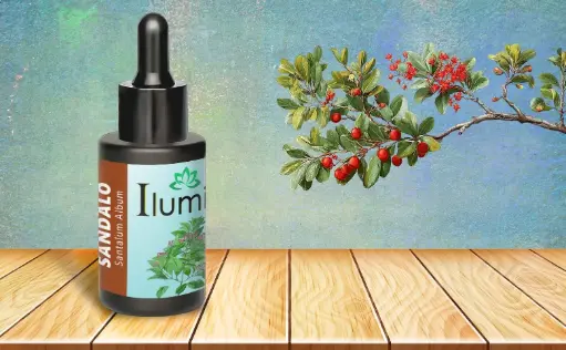 [52159362] Aceite esencial de Sándalo 30 ML