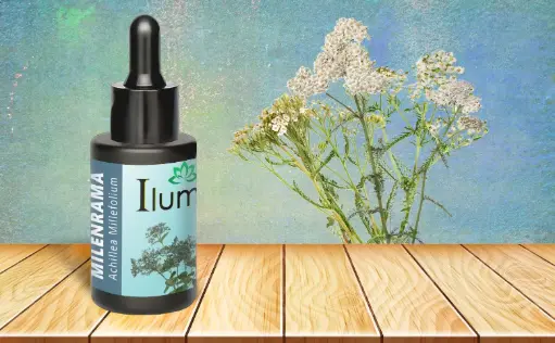 [52159791] Aceite esencial de Milenrama 10 ml