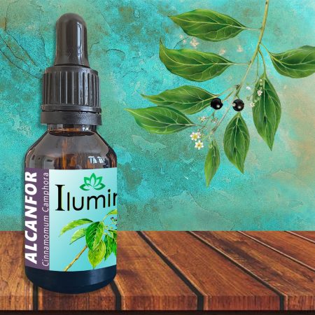 Aceite esencial de Alcanfor 30 ml