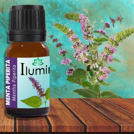 Aceite esencial de Menta piperita 10 ml
