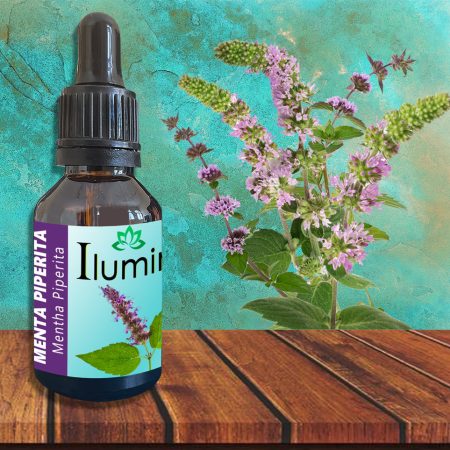 Aceite esencial de Menta piperita 30 ml