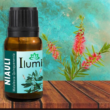 Aceite esencial de Niauli 10 ml