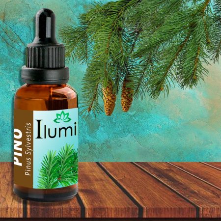 Aceite esencial de Pino 30 ml