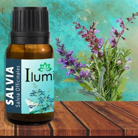 Aceite esencial de Salvia 10 ml