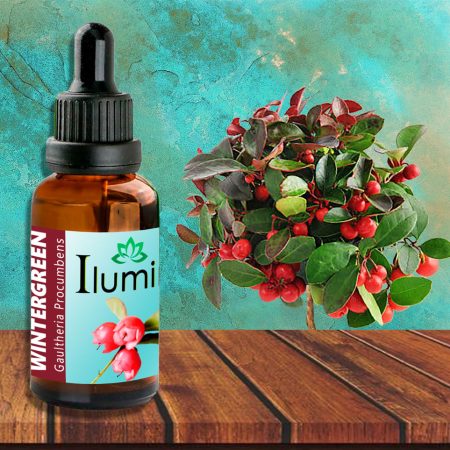 Aceite esencial de Wintergreen 30 ml