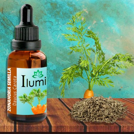 Aceite esencial de Zanahoria semilla 30 ml